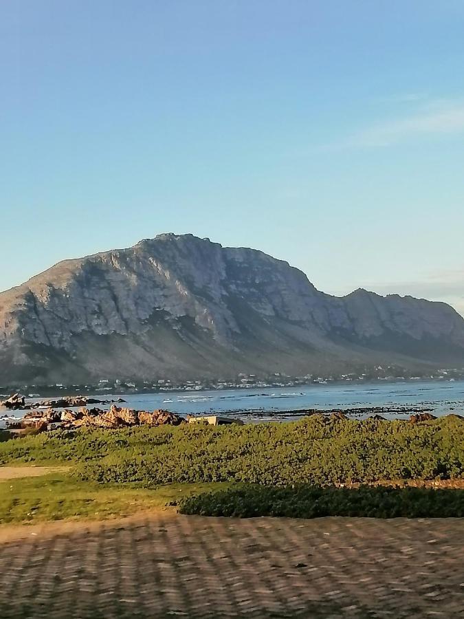 Just Chill Betty'S Bay Leilighet Eksteriør bilde